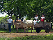 Costa Rica-Guanacaste-Hidden Jewels of Costa Rica